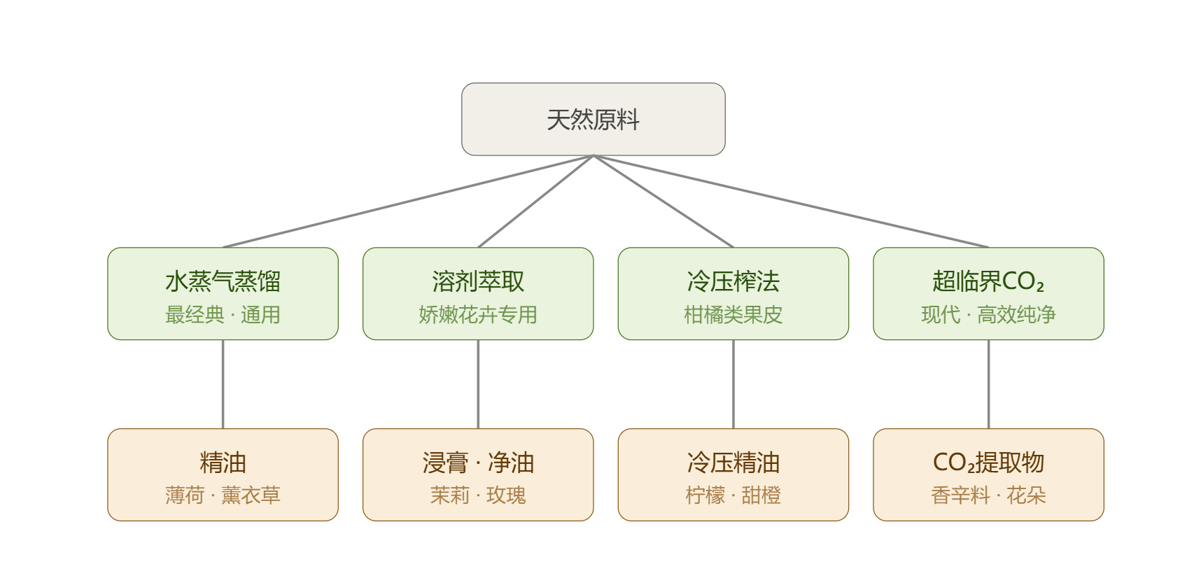 天然提取的四种方法.png 天然提取的四种方法.png